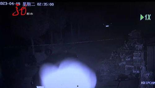 在线视频黑夜